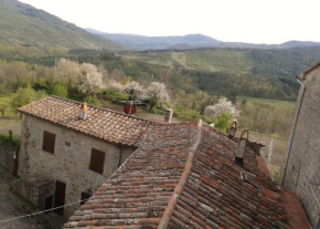Monteluce